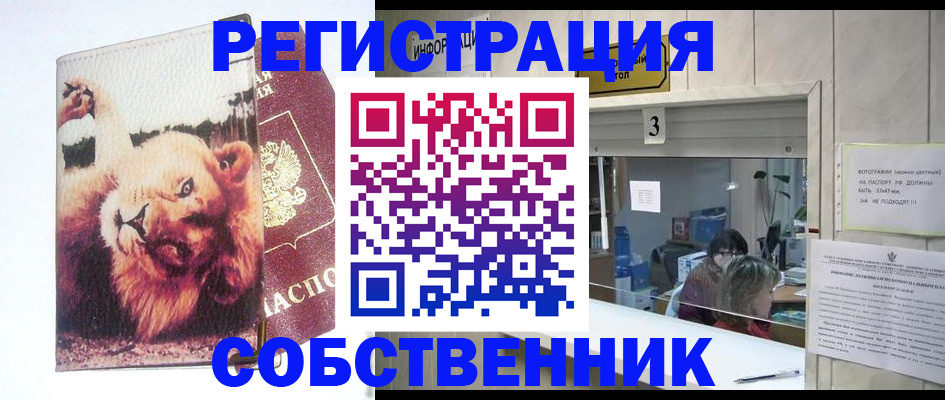 прописка поиск в Каменск-Уральске